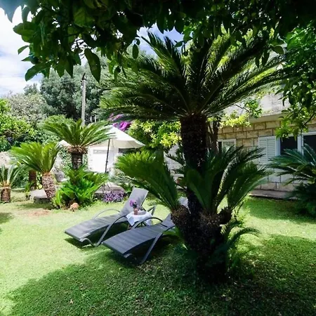 Stanka - One Bedroom With Terrace And Sea View Ντουμπρόβνικ